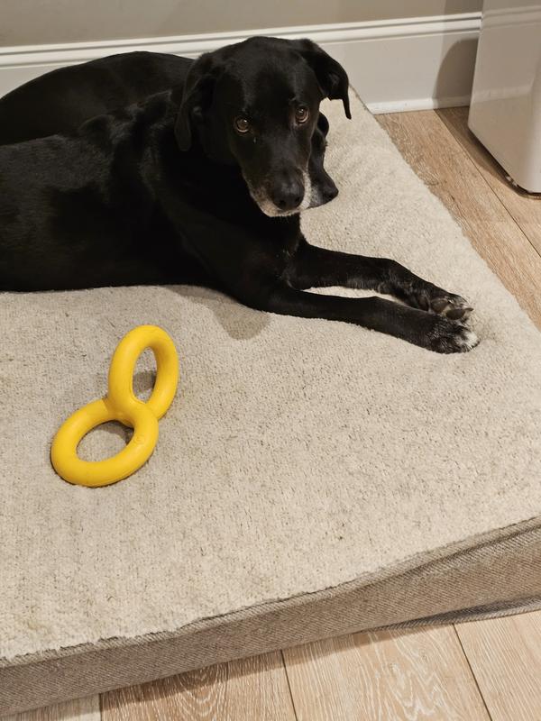 My pup literally takes it to bed with him everynight!