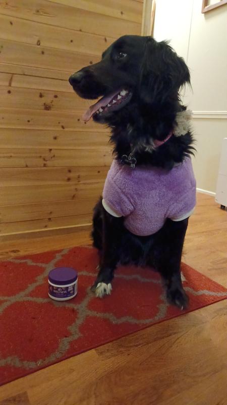 Josie is a happy girl!