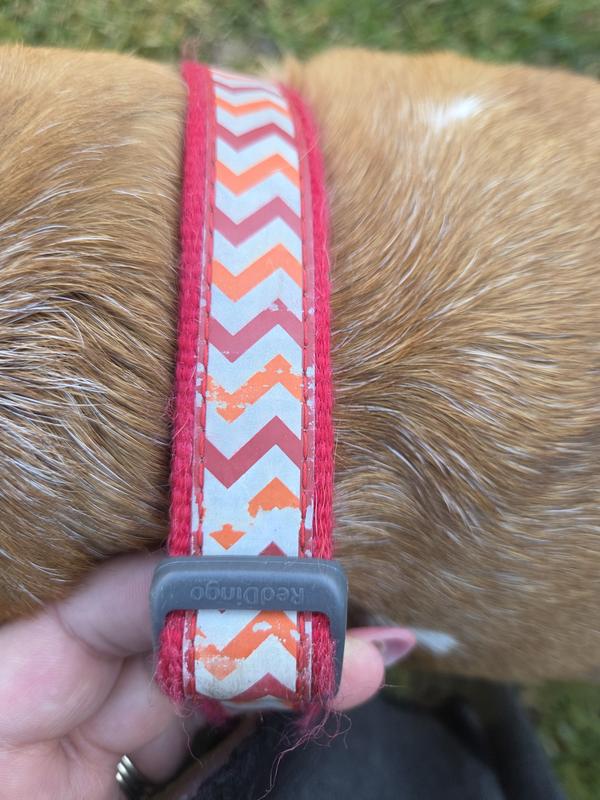 Wear marks from a few weeks of use