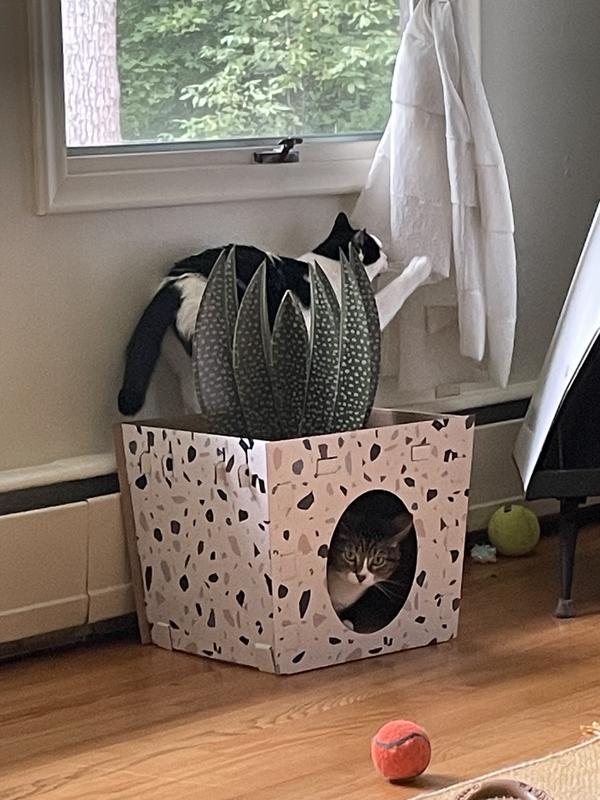 Good for hiding in or hiding on