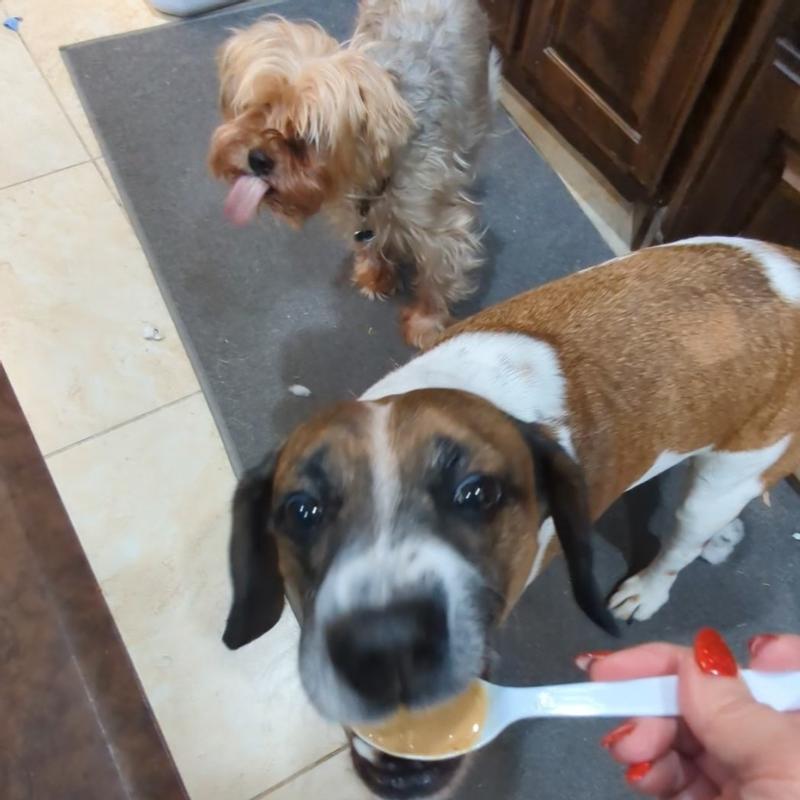 This one wanted the whole spoon