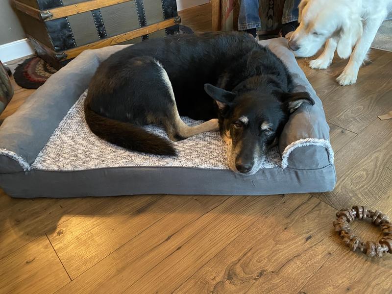 Beckham enjoying his new bed right out of the box.