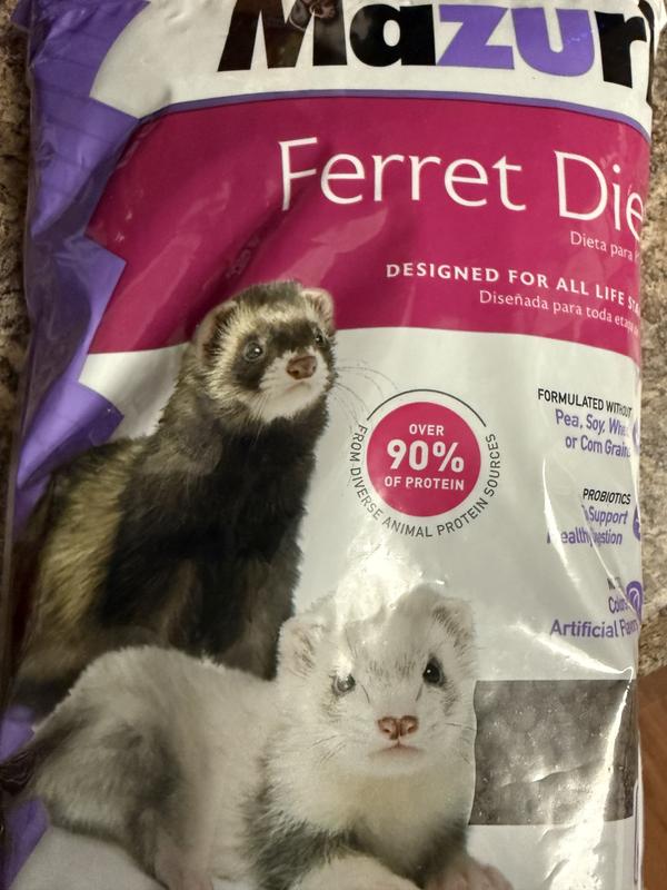 MAZURI Ferret Food, 25-lb bag - Chewy.com