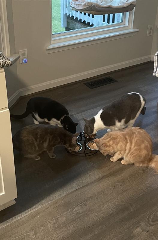 Frisco Multi Pet Feeding Station