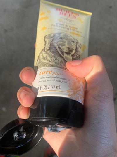 Burt's bees dog outlet paw balm