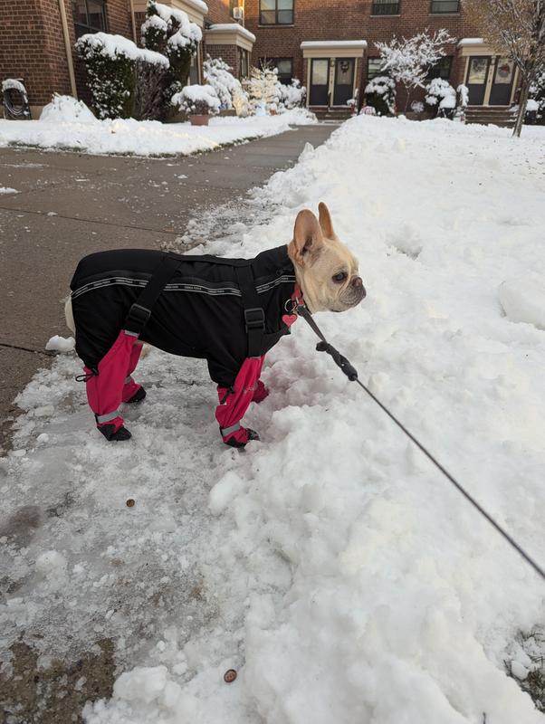 CP suspender boots over the suit