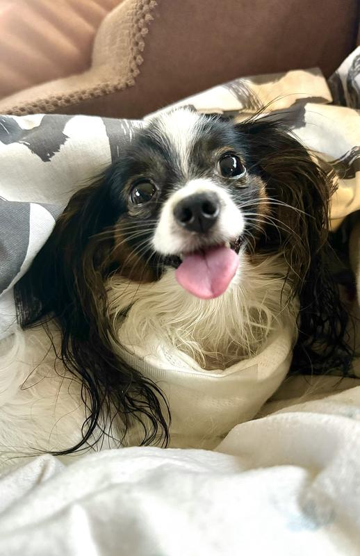 Chloe happy after cleaning her eyes