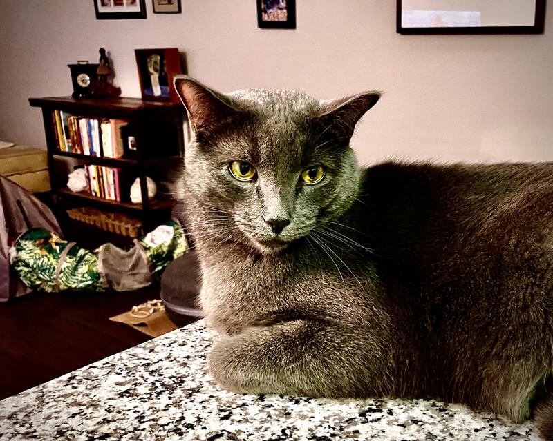 And Panther thanks you too!