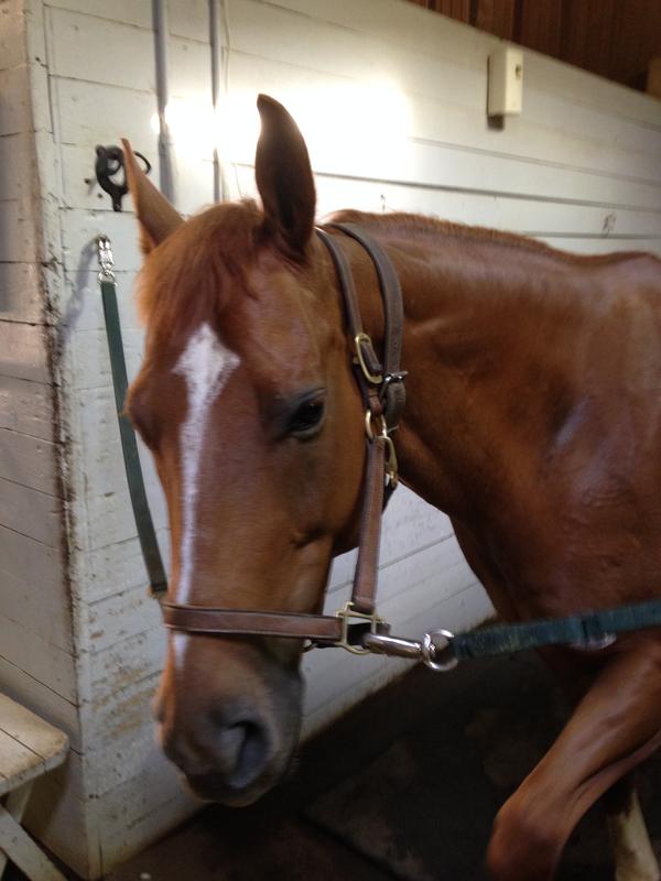 Giving me permission to take a picture.