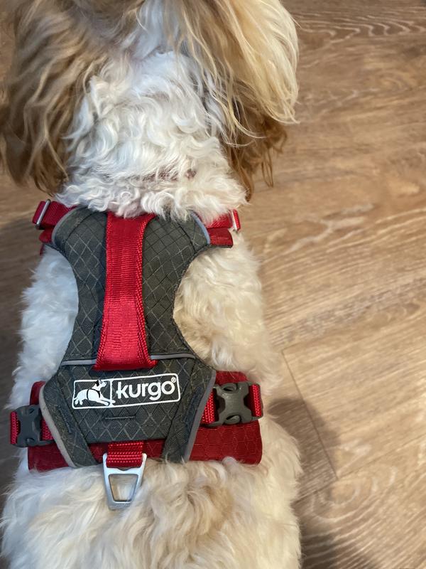 Harnais pour chien Kurgo Journey Air - Sherbrooke Canin