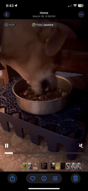 Remmie enjoying every bite