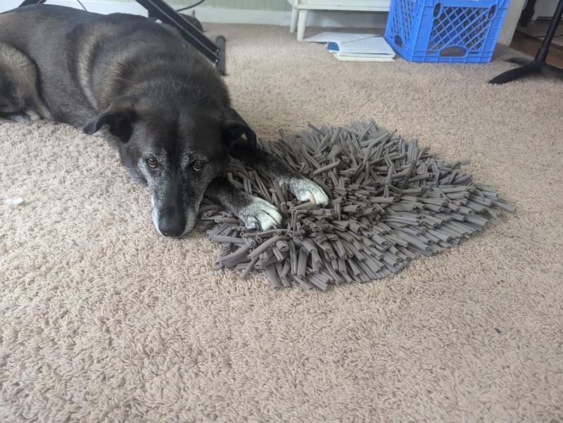 Wooly snuffle dog feeding mat hotsell