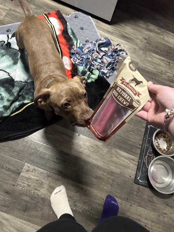 can barely tell but he has the other bully stick in his mouth while he’s trying to get another one!!