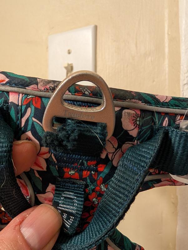 The back clip of the harness is slowly tearing through the loop that attaches it to the harness.