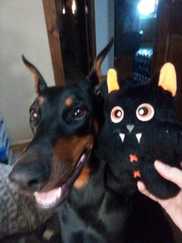 I love my Snuzzle bat best.