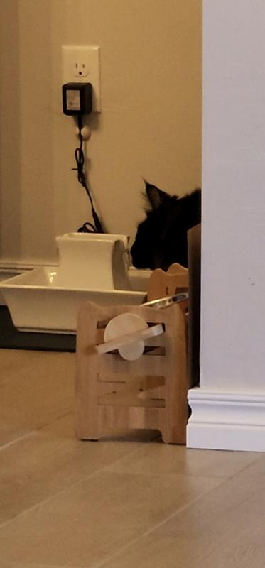 Sneaky photo of fountain in use.