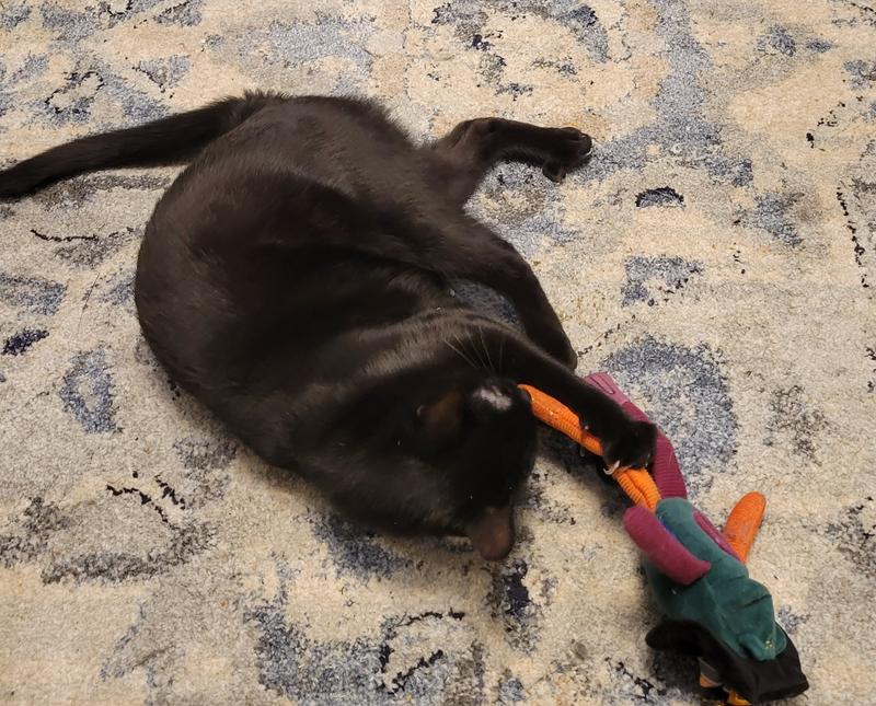 Frisco Halloween Witch Hat Wobble & Spin Electronic Laser Cat Toy with Silvervine & Catnip