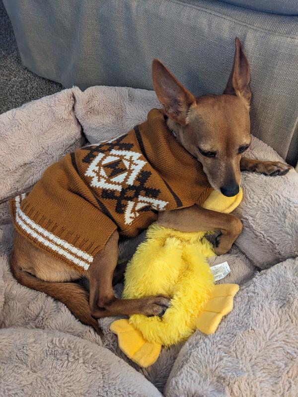 Frisco Western Pattern Dog & Cat Sweater