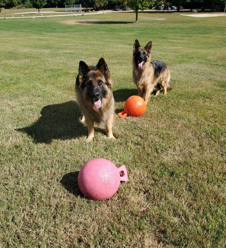 We love our Jolly balls!