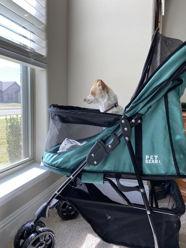 PET GEAR Happy trails NoZip Pet Stroller, Sapphire