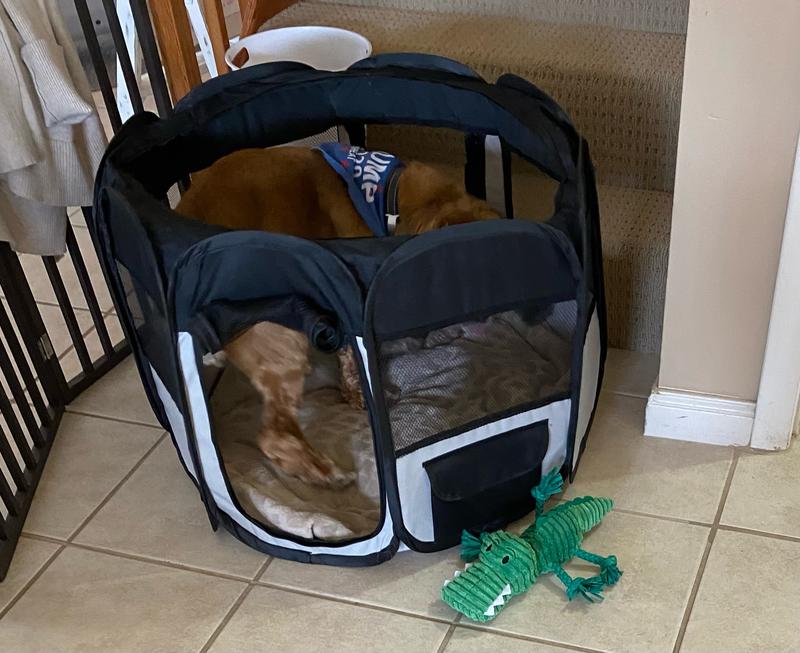 Snug as a bug in a rug.