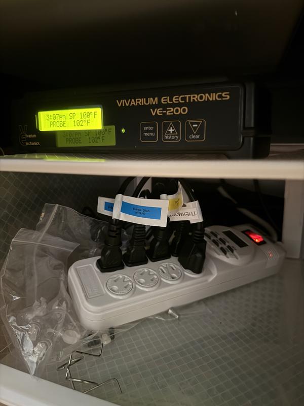 It would be more convenient to have 1 one socket for both Day and Night. And only 2 sockets for 24/7.