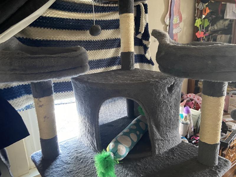 The cats hate the top floor. Only 3 of my cats can get up to the top! So the top still looks decent.