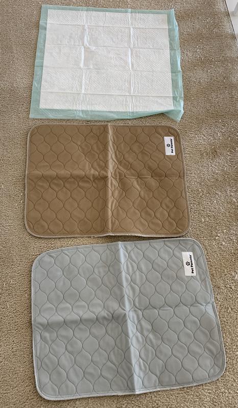 Pet parents outlet pee pads