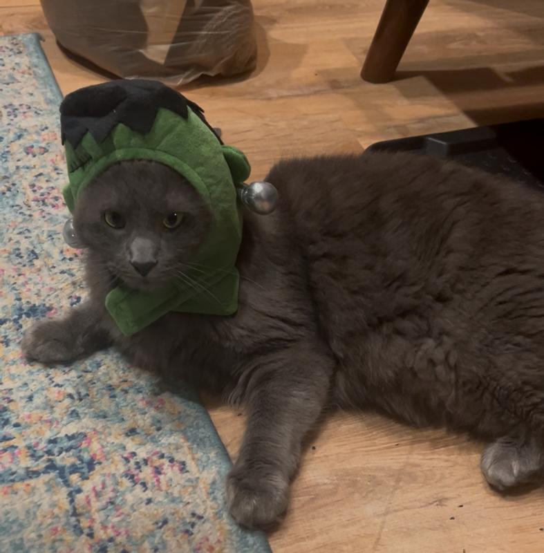 This is after I adjusted the back part of the hat.