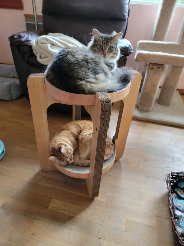 NECOICHI Cozy Cat Scratcher Tower Toy, Oak, XLarge