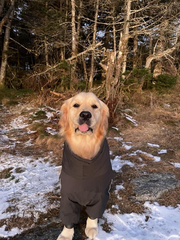 Hurtta Extreme Overall Insulated Dog Snowsuit, Blackberry