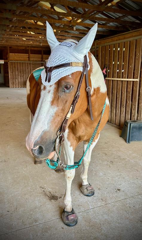 Poco showing off his lovely bonnet!