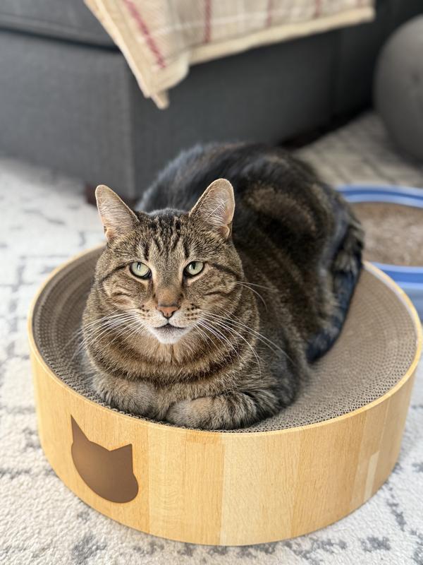Loaf mode