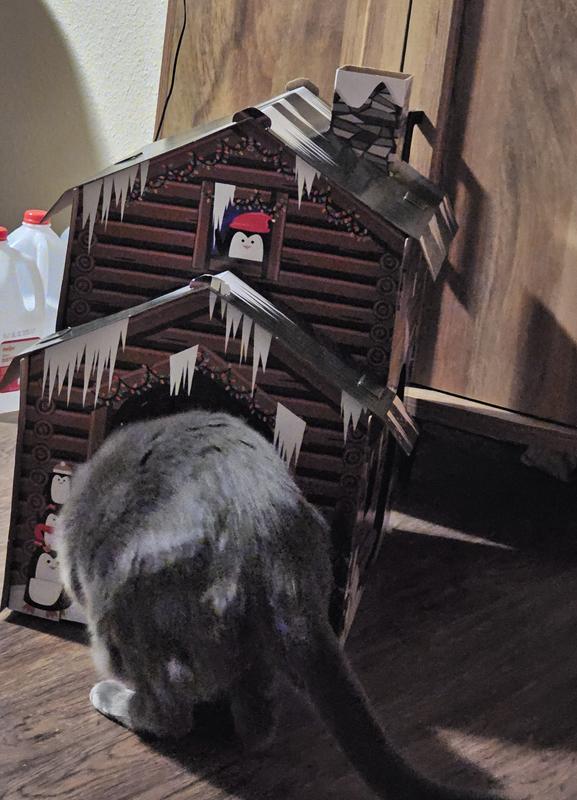 Definitely not for a large, or tall catto. My 11# boy loves it, but Vladdy got stuck in the doorway. So, not plus size friendly. 😁