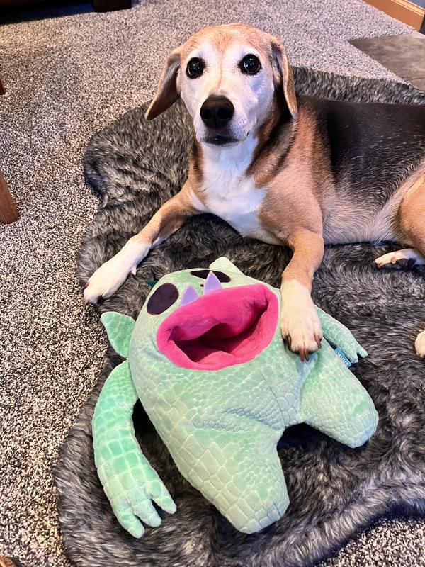 (30 lb. dog for scale)