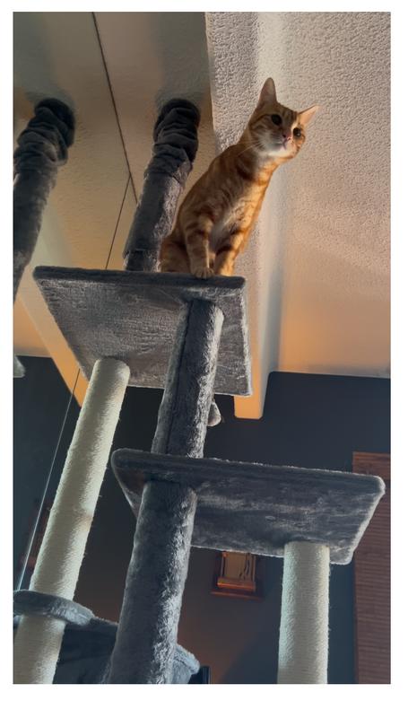 Perfect after looking my at all the options!