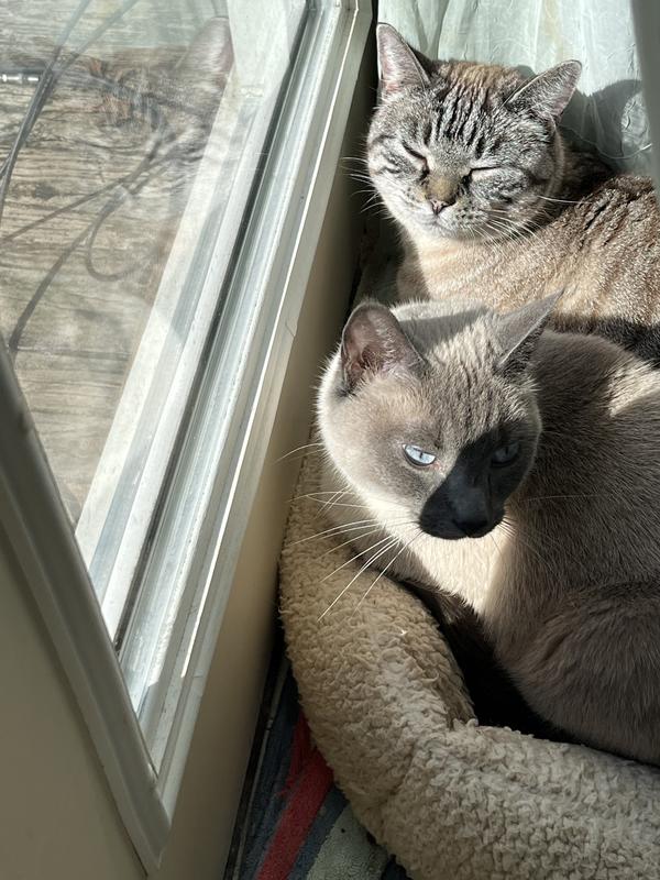 Baby and Elliot enjoying the sunshine.