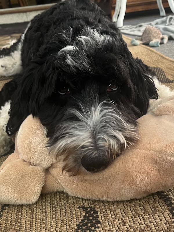 Relaxing with her huggy pup