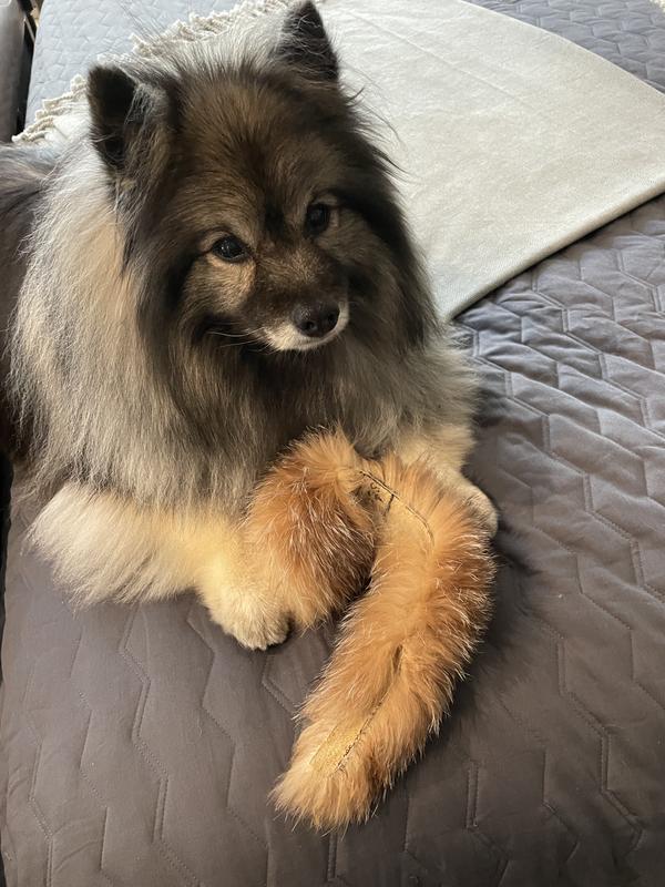 Post snack cuddle 🐾