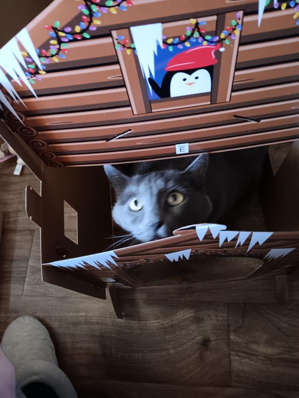 Important to have head space!