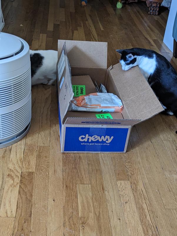 Chewy sheba outlet