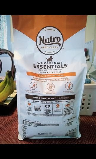 Nutro kitten dry outlet food