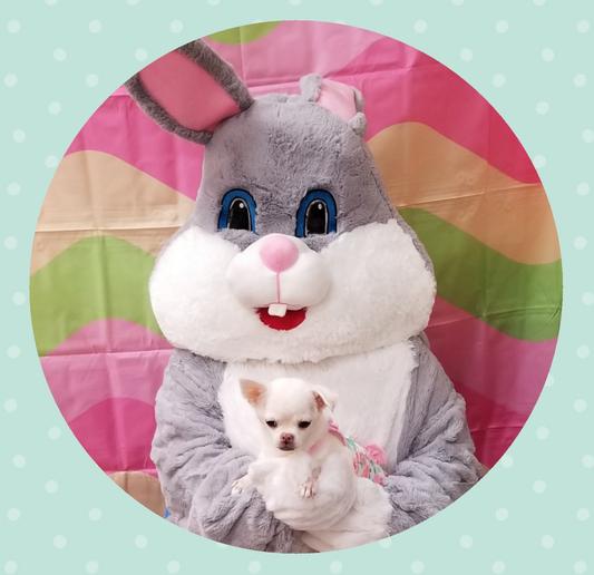 Lu-Dee with the Easter bunny