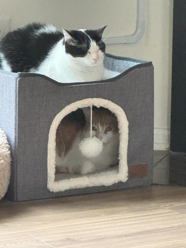 Loyareal Cat Houses For Indoor Cats - Large Cat Bed Cave For Cat House With Scra