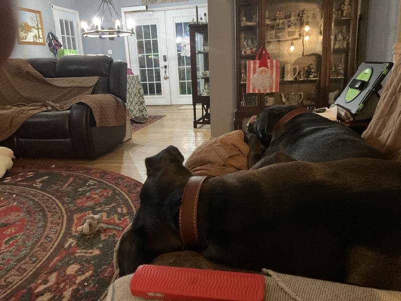 I think they are comfortable!