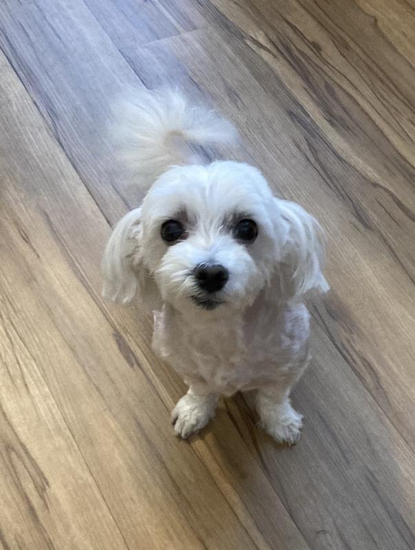 Tilly thanks you too!
