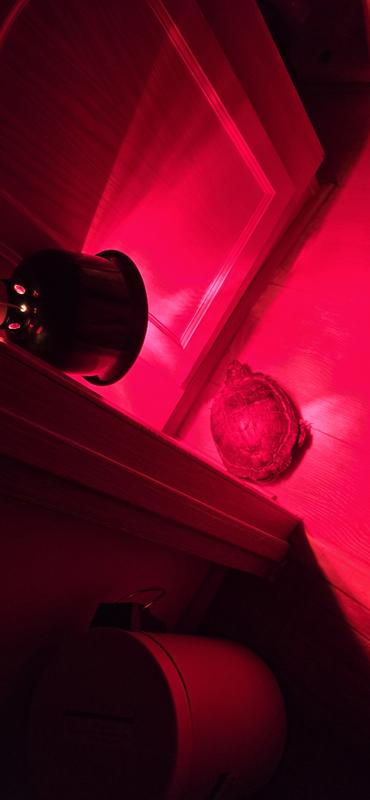 Both of them love it !