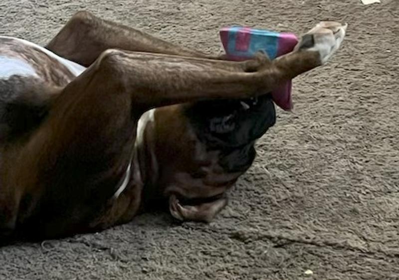 I am busy playing here :)