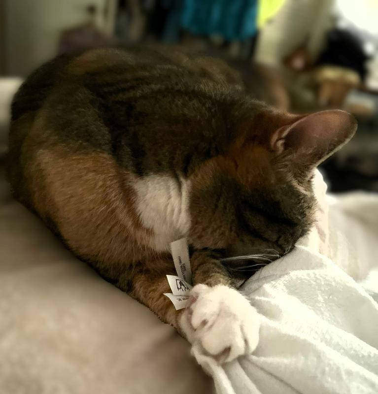 Ok, now time for the full immersion treatment - 😂