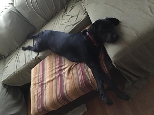 After playing ball